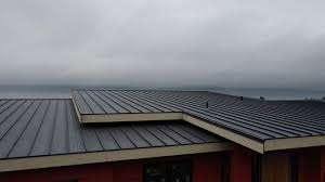 Best Steel Roofing  in Loop, PA